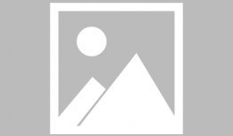 天然格斗少女千寻漫画,格斗少女的崛起之路